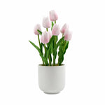 White pot with pink tulips on a white background
