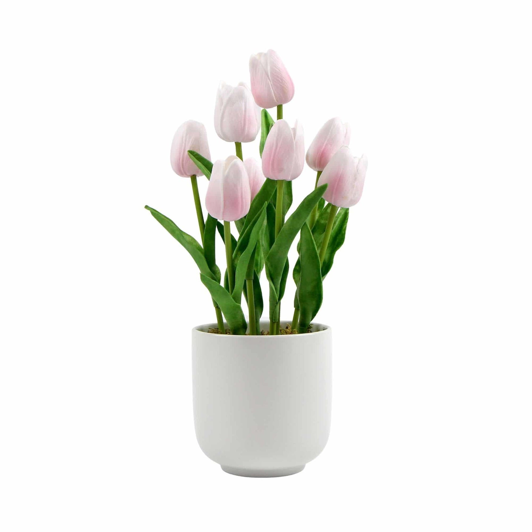 White pot with pink tulips on a white background