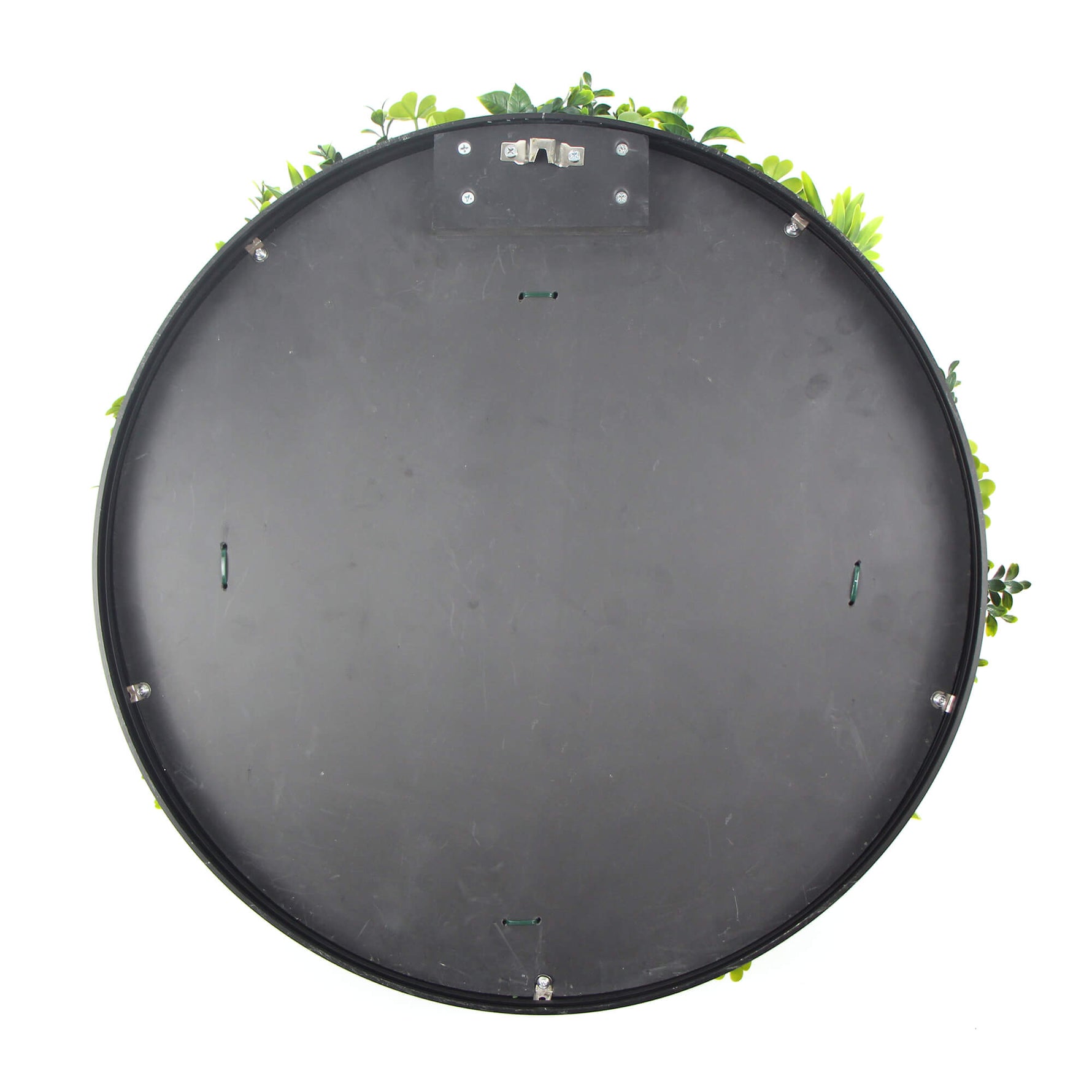 Top view of a round black object with greenery on a white background