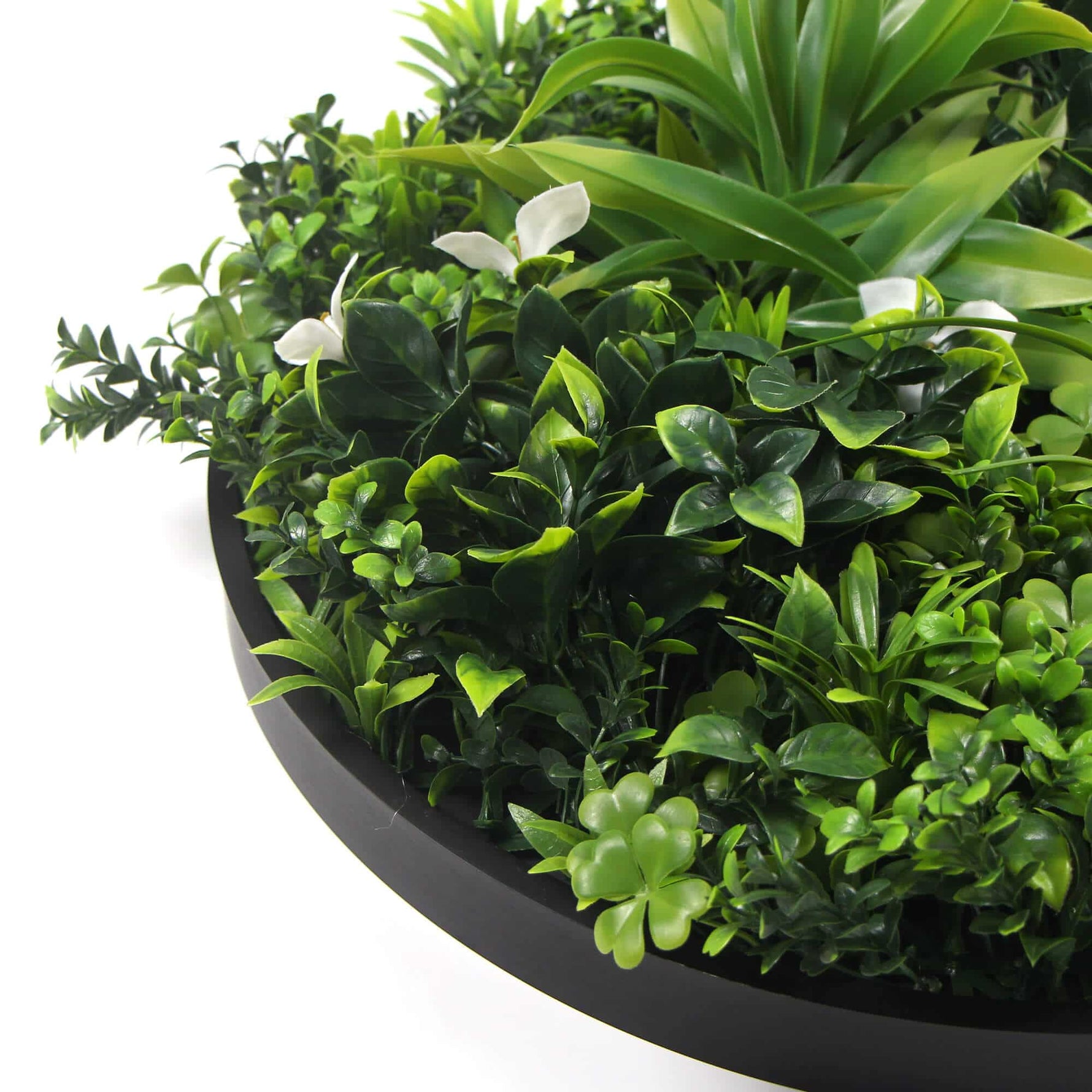 Flowering White Artificial Green Wall Disc UV Resistant 50cm (Black Frame) - Designer Vertical Gardens artificial garden wall plants artificial green wall australia