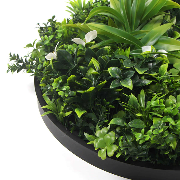 Flowering White Artificial Green Wall Disc UV Resistant 50cm (Black Frame) — gallery image 7
