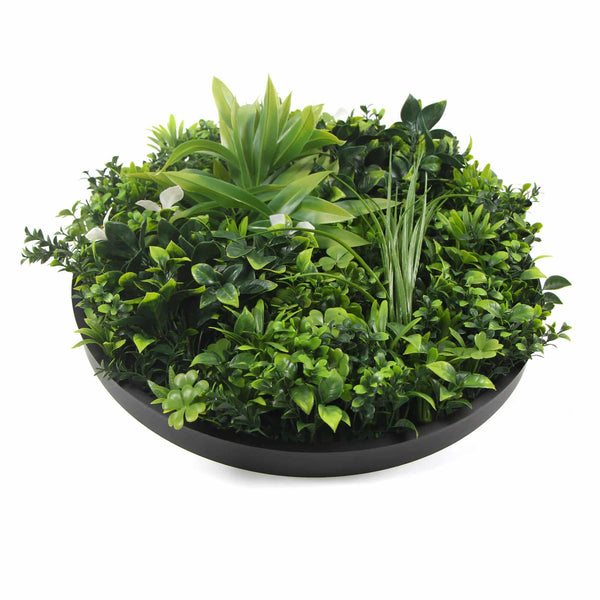 Flowering White Artificial Green Wall Disc UV Resistant 50cm (Black Frame) — gallery image 9