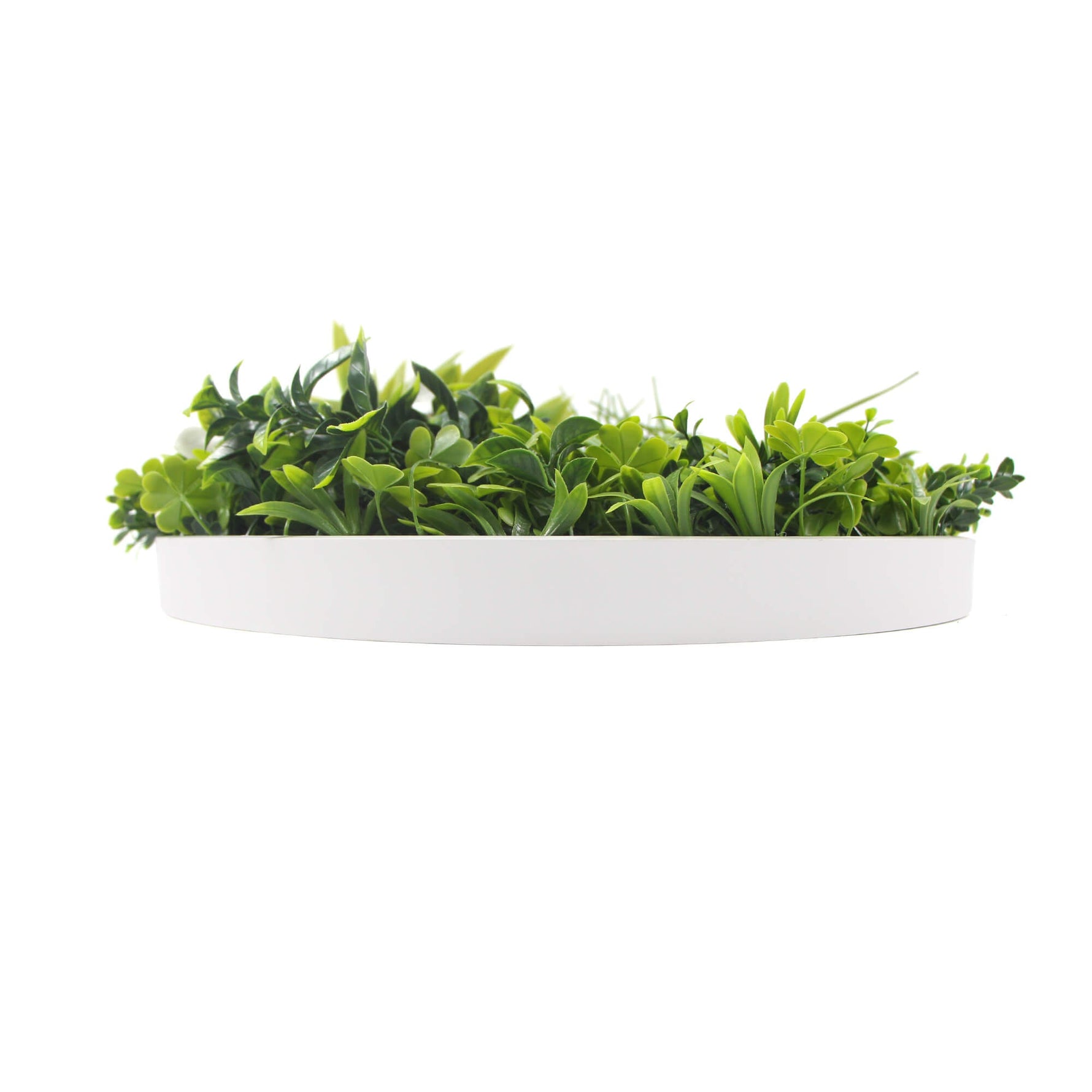 Flowering White Artificial Green Wall Disc UV Resistant 50cm (White Frame) - Designer Vertical Gardens artificial garden wall plants artificial green wall sydney