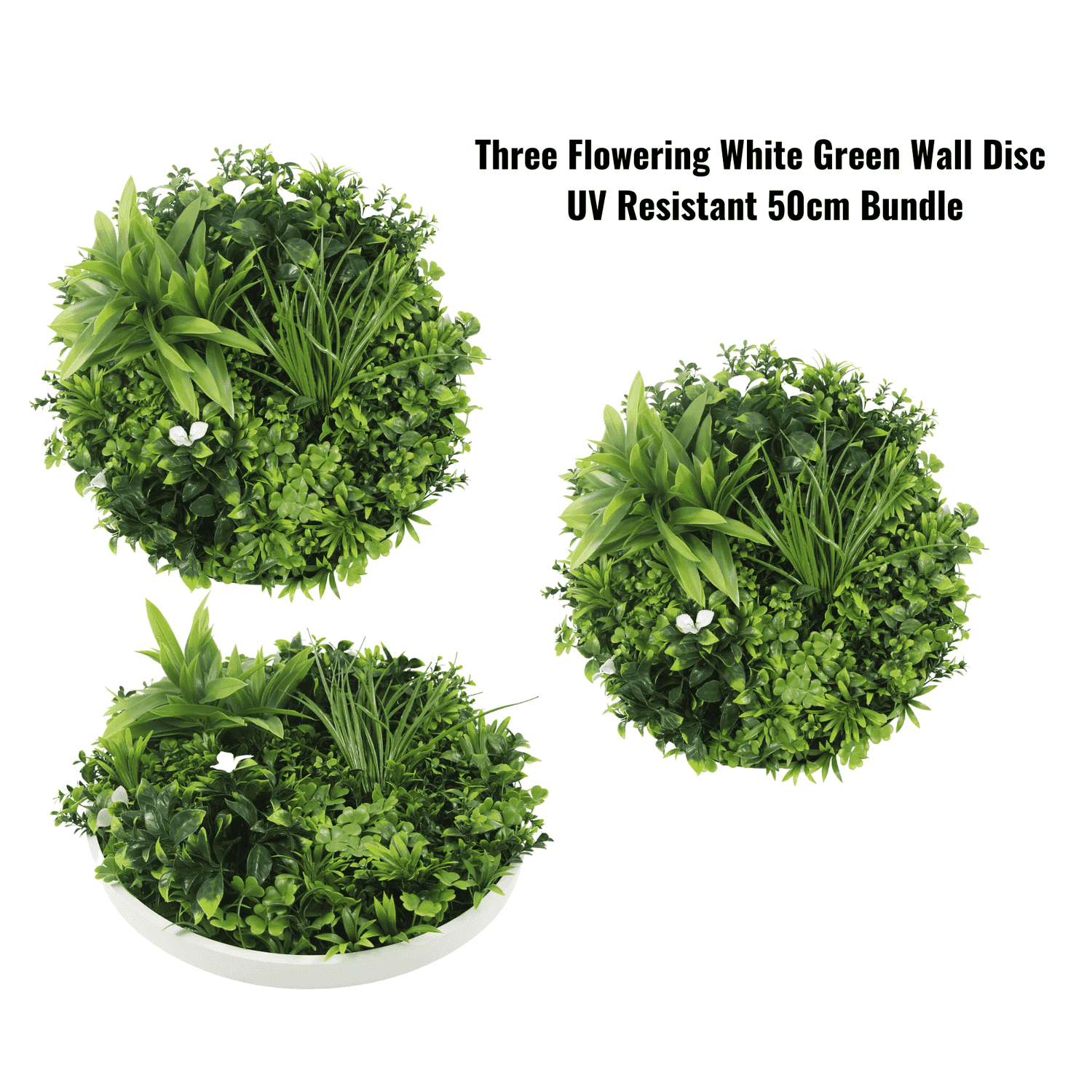 Three UV resistant artificial green wall discs on a white background