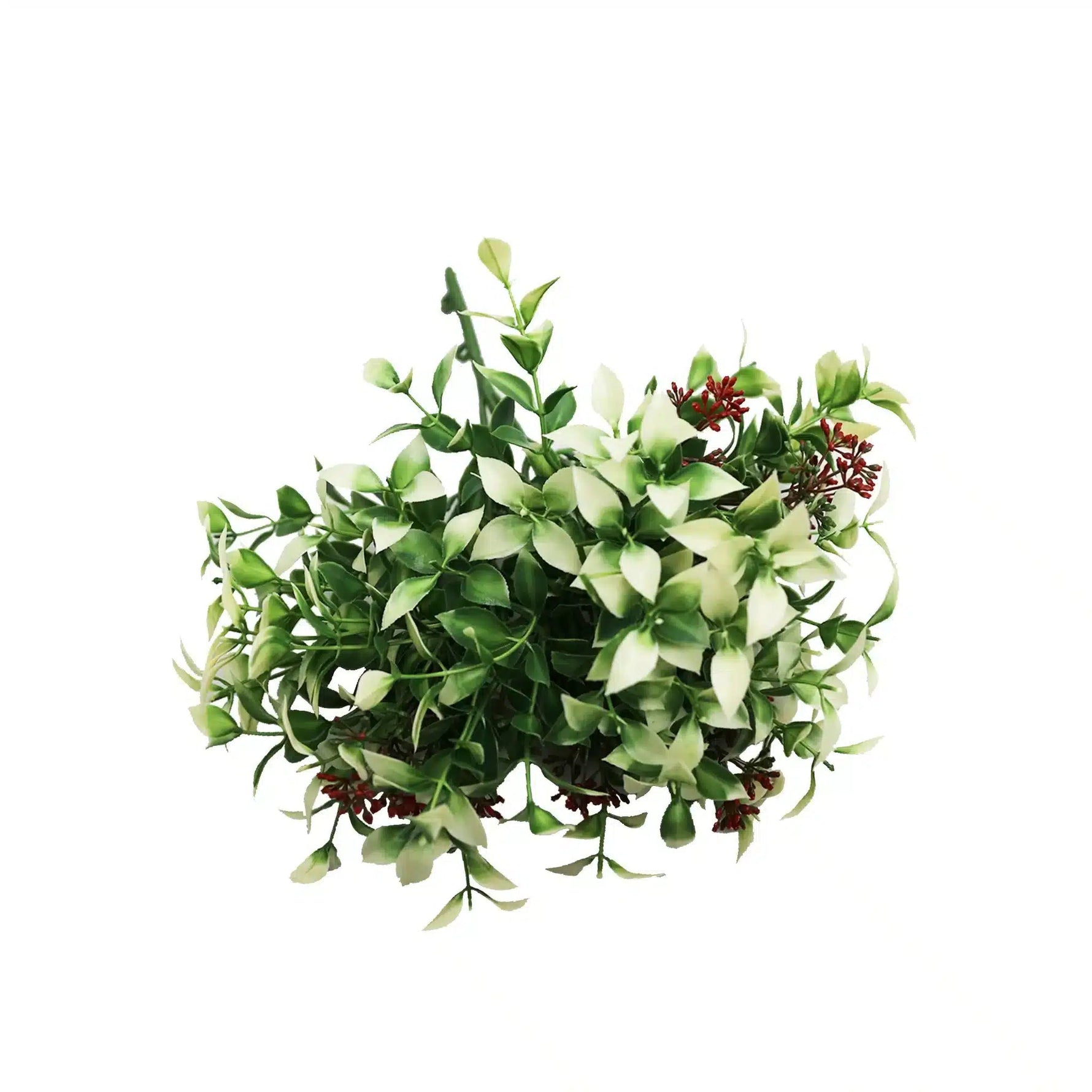 Artificial green plant with white flowers on a white background