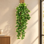 A long green artificial ivy vine with small leaves hanging from a wooden wall mount in a sunlit room, with a beige wall, window light, and part of a wooden cabinet visible.