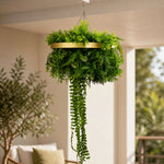 Hanging green plant in a gold pot indoors with a blurred background