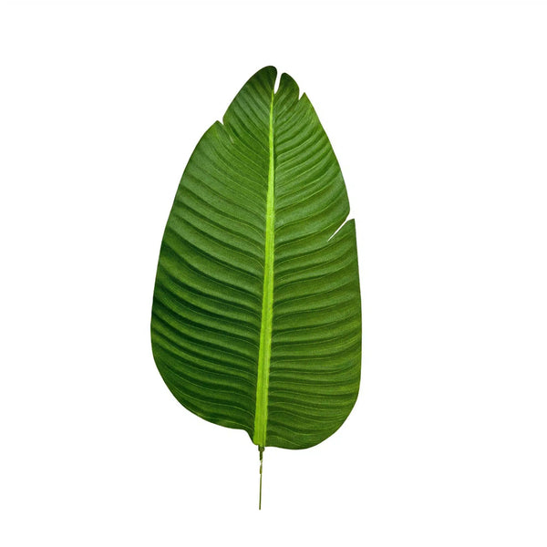 Grand Artificial Potted Travellers Palm (Banana Palm Tree) 180cm — gallery image 3
