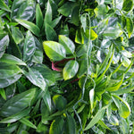 Green Meadows Artificial Vertical Garden / Fake Green Wall 1m x 1m UV Resistant - Designer Vertical Gardens artificial garden wall plants artificial green wall australia