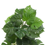 Artificial green leaves with a white background