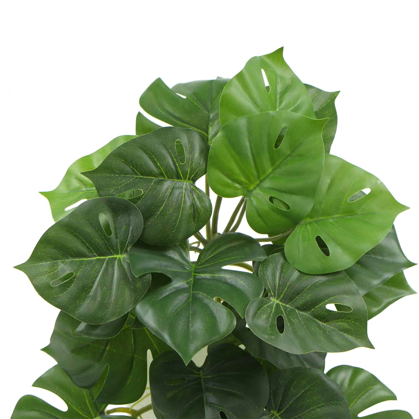 Artificial green leaves with a white background