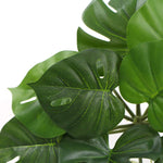 Close-up of green leaves with a white background