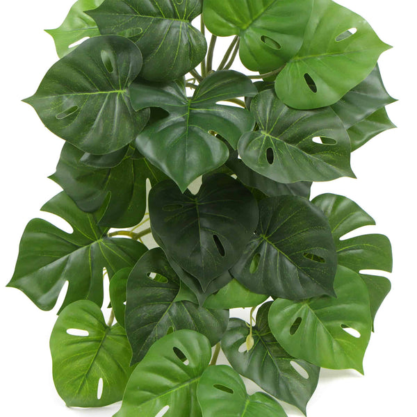 Hanging Artificial Monstera Adansonia Plant 50cm — gallery image 14