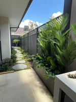 Paved pathway with plants and a fence in a residential area