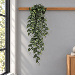 A long green trailing ivy vine with variegated light green leaves hanging from a wooden rod against a gray wall in a room setting.