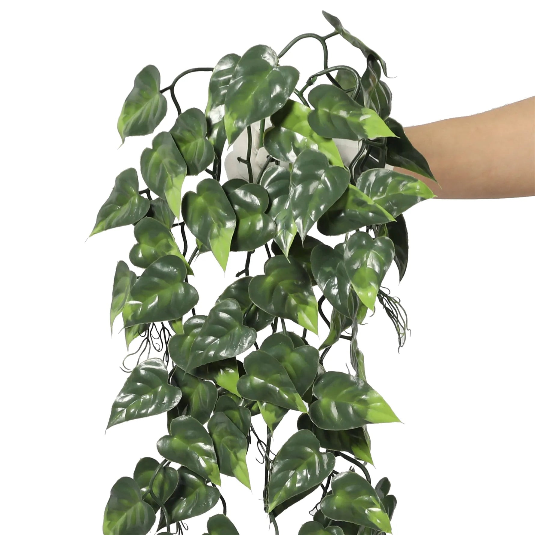 Artificial green leafy plant held by a hand on a white background