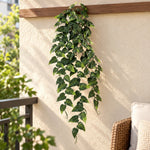Green trailing ivy vine with heart-shaped leaves hanging from a wooden ledge against a textured beige stucco wall, with a wicker chair and outdoor greenery in the background.