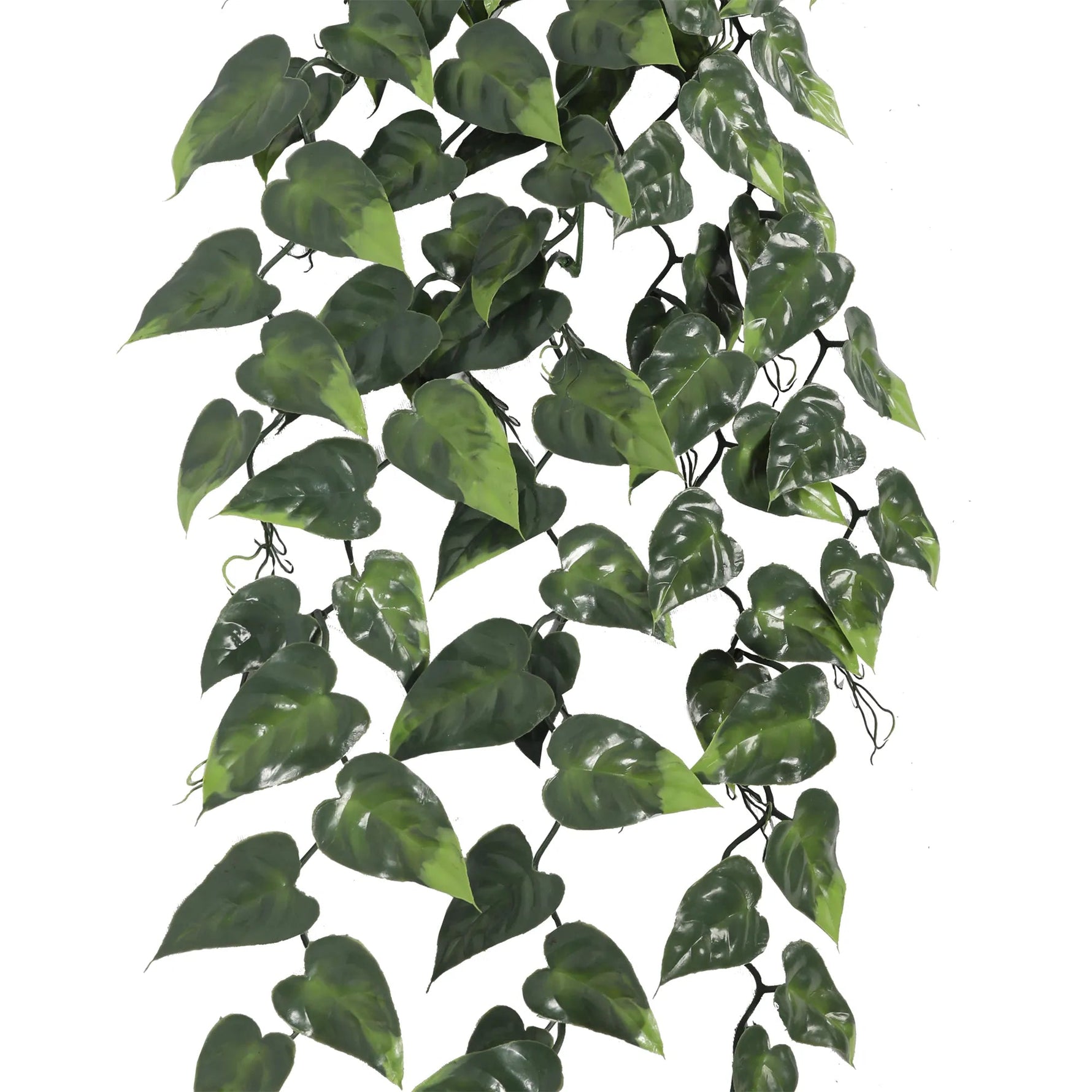 Artificial green leaf garland on a white background