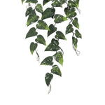 Artificial green leafy vine on a white background