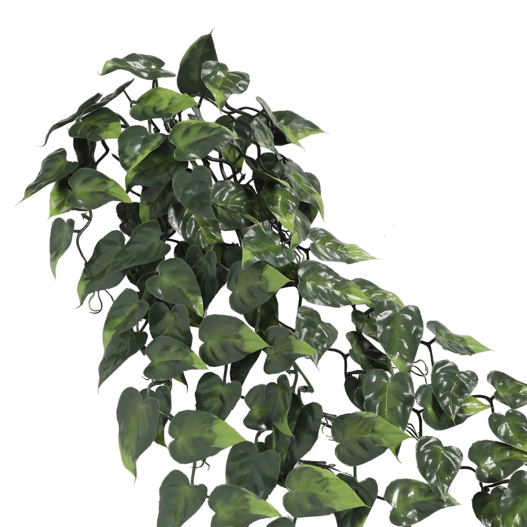 Artificial green leafy plant on a white background