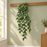 A green trailing ivy vine with heart-shaped leaves hanging from a wooden rail against a light sage green wall in a sunlit room.