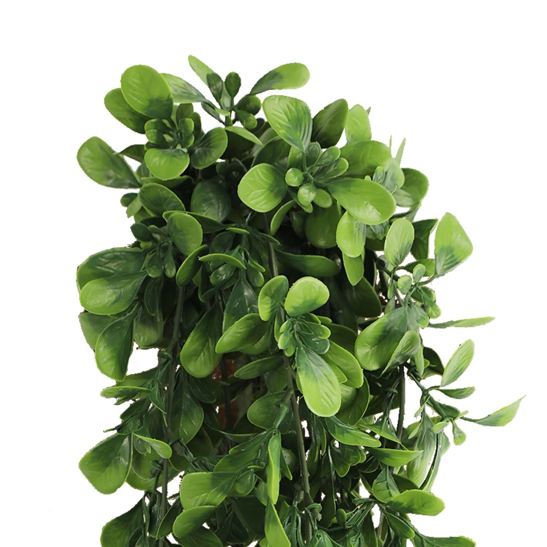 Artificial green leafy plant on a white background