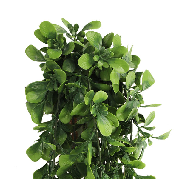 Hanging Creeping Fig Vine – UV & Fire Rated (18cm x 76cm) — gallery image 4