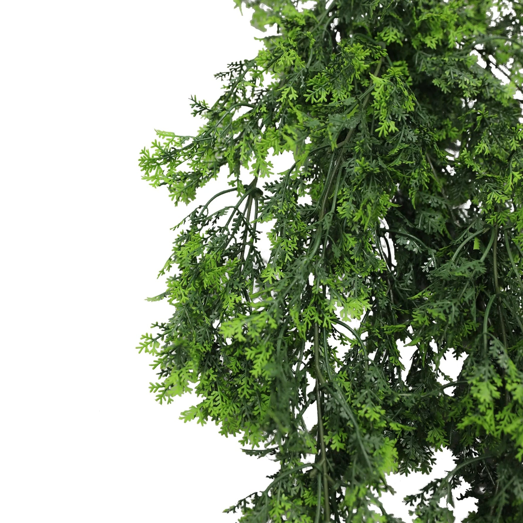 Artificial greenery garland on a white background