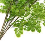 Green fern-like leaves on a white background