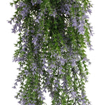 Hanging plant with purple flowers and green leaves on a white background