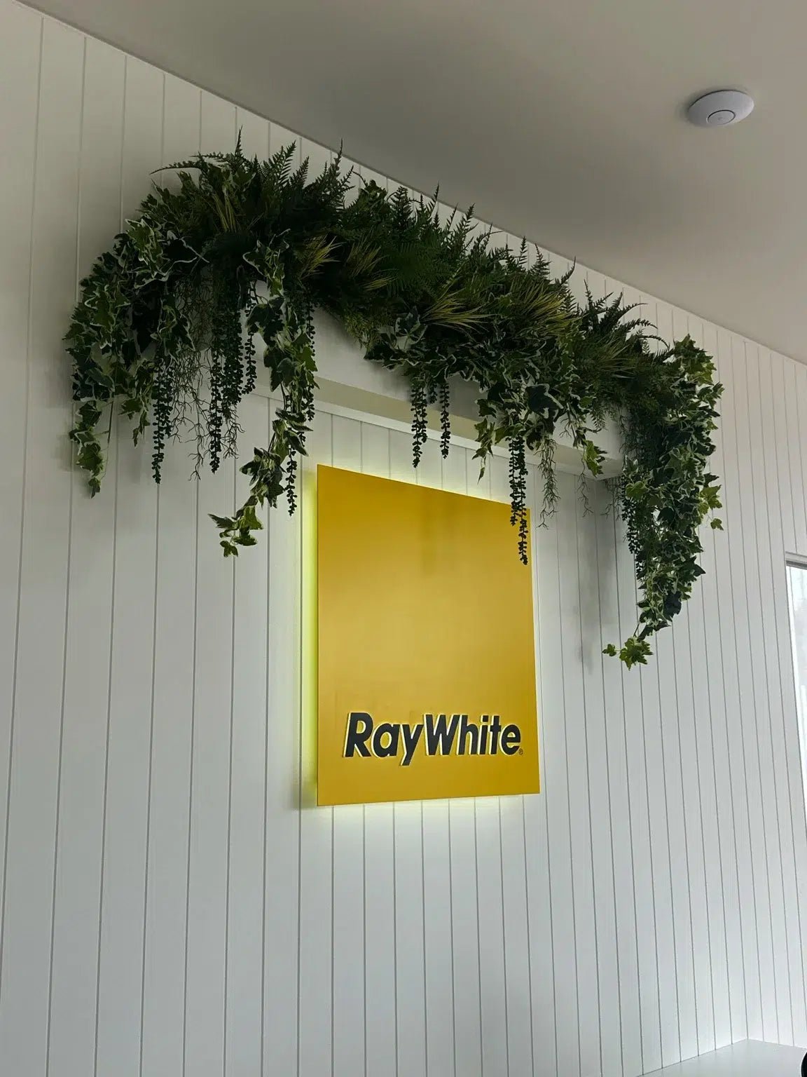 Designer Vertical Gardens artificial hanging succulent string of pearl beads — 75cm trailing foliage for indoor and outdoor styling
