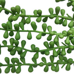 Close-up of green leafy branches on a white background