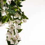 Artificial white flowers with green leaves on a white background