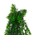 Green artificial hanging plant on a white background