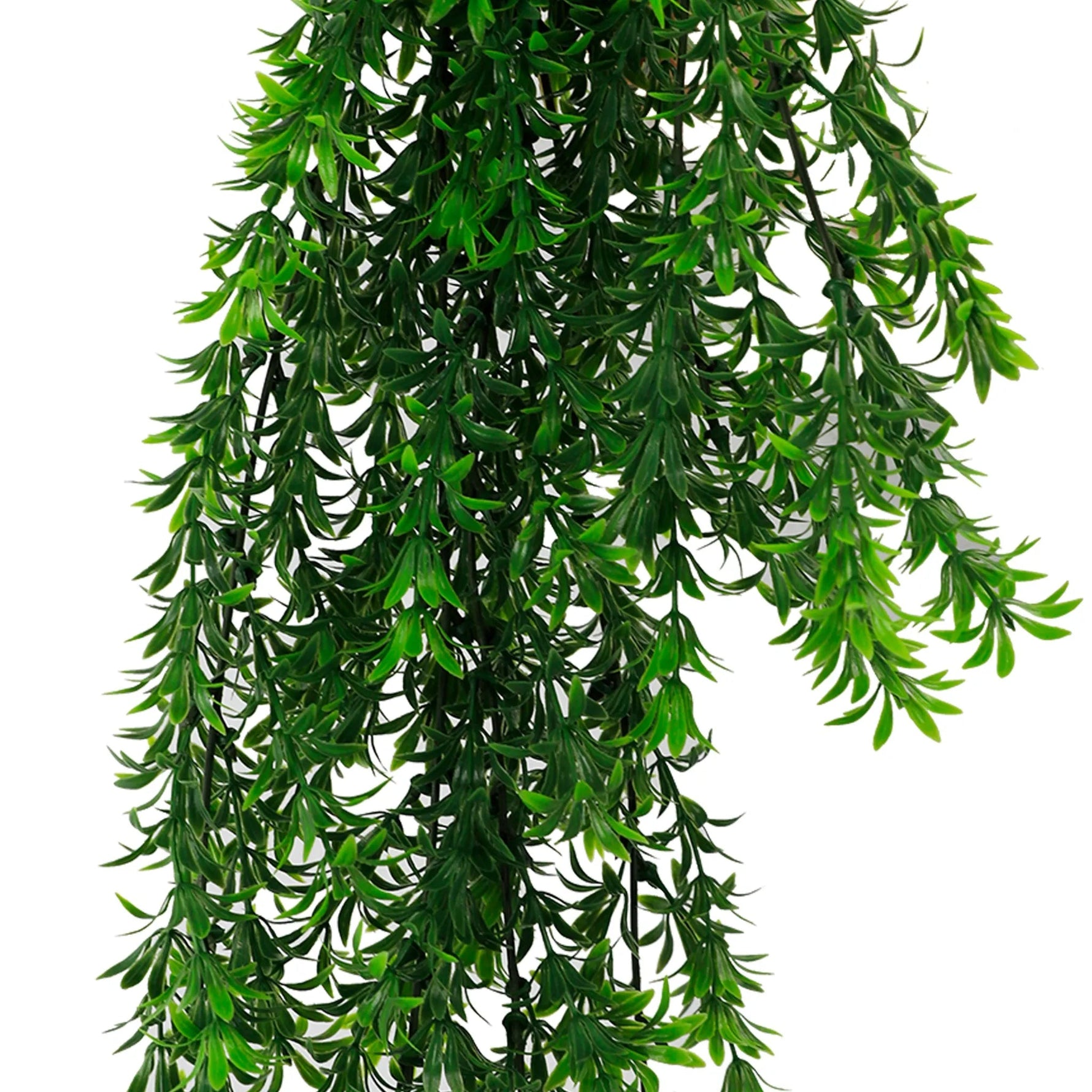 Artificial green leaf garland on a white background