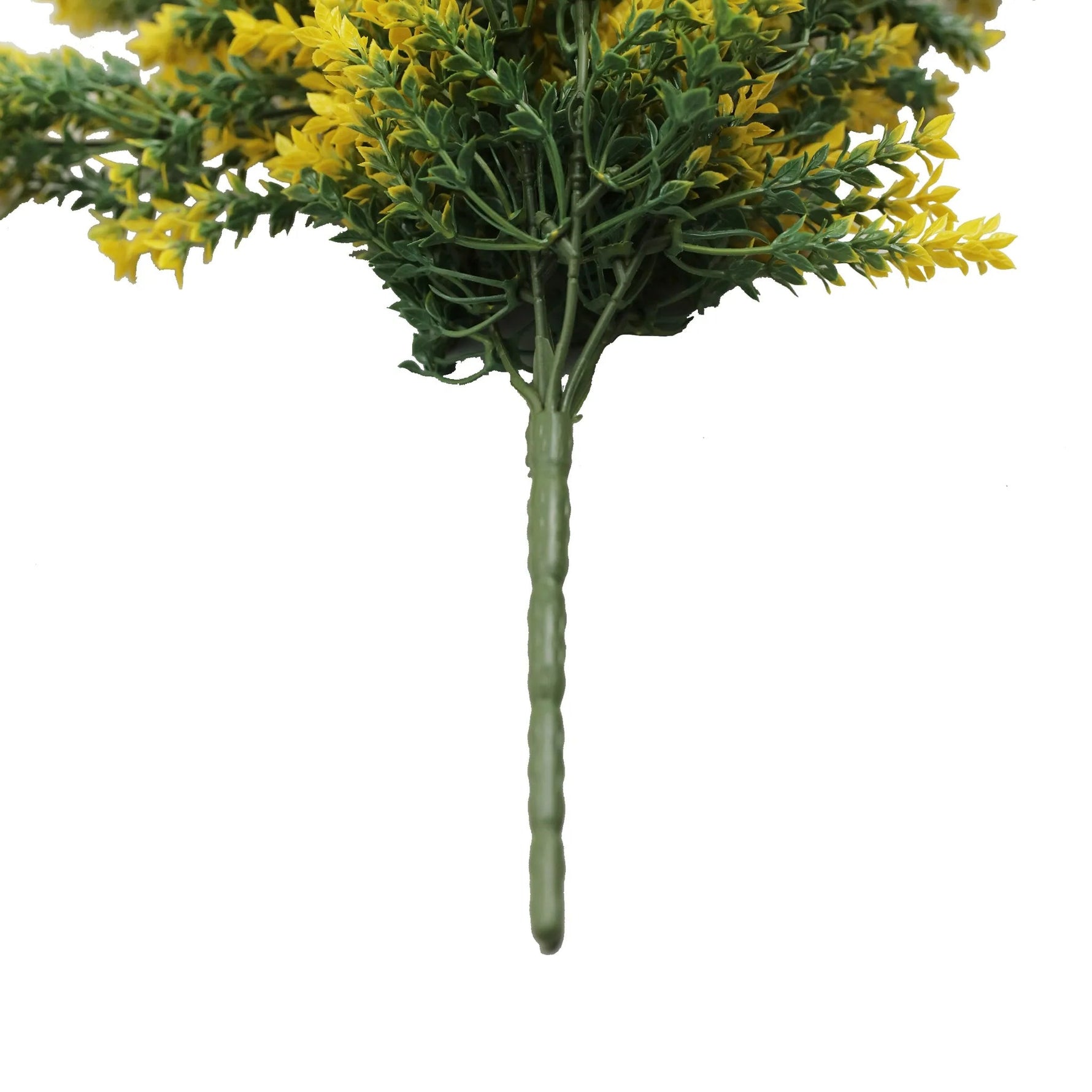 Bouquet of yellow flowers with green leaves on a white background