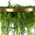 Hanging green fern plant with a gold metal frame on a white background