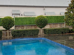 Pool area with hedges and a wooden fence in the background