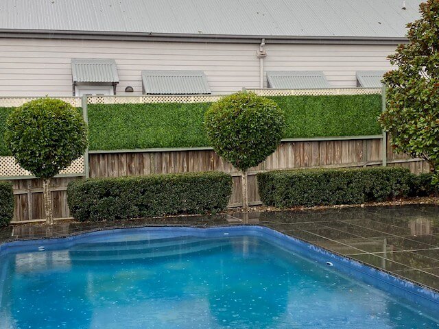 Pool area with hedges and a wooden fence in the background