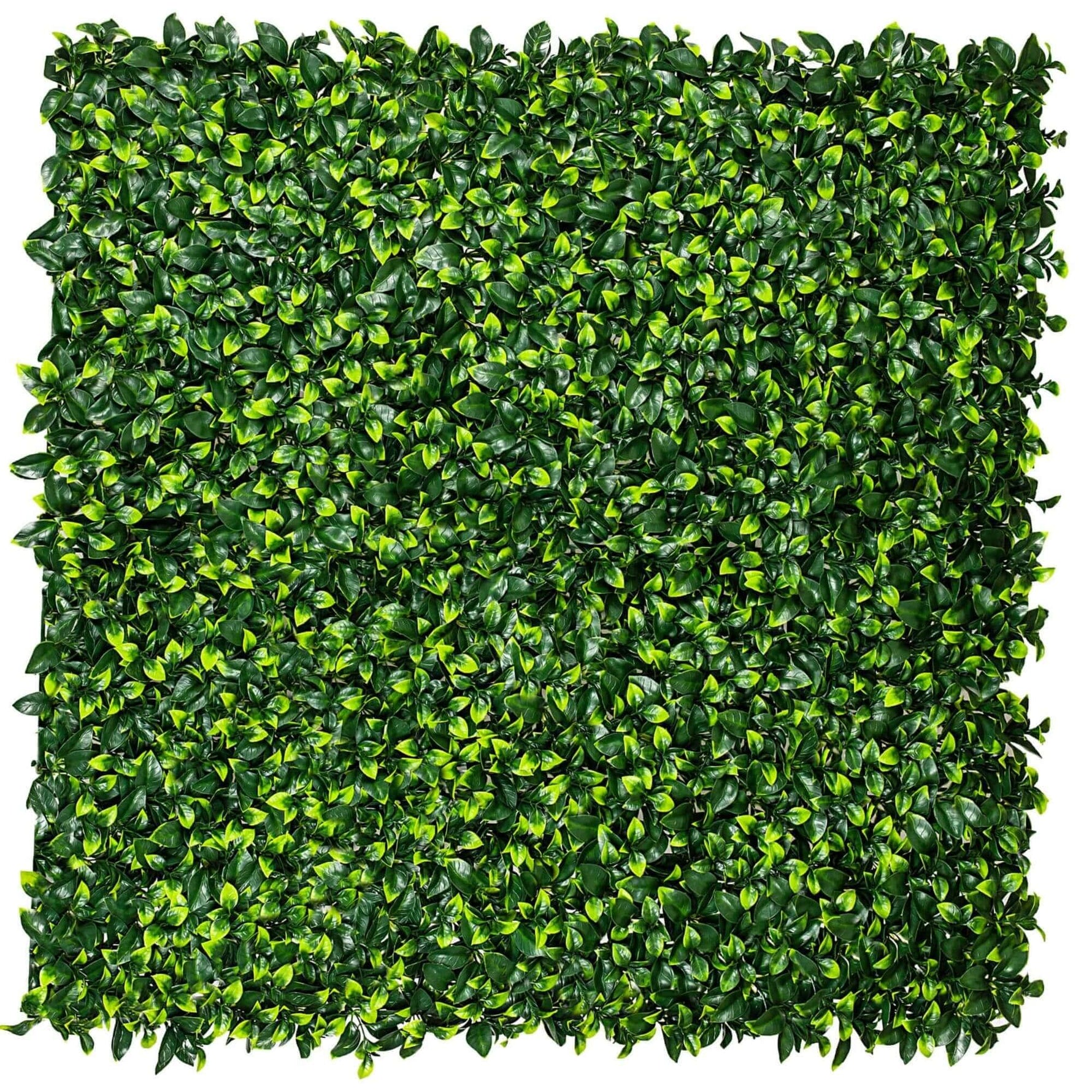Jasmine Artificial Hedge Panel 1m x 1m – SGS UV Resistant - Designer Vertical Gardens artificial fence artificial fence plants