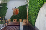 Outdoor seating area with wooden tables and chairs against a wall covered in greenery.