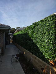 Jasmine Artificial Hedge Panel 100cm x 100cm - UVTEX Certified UV Resistant