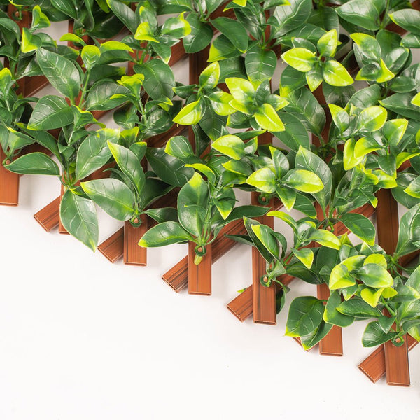 Luxury Jasmine Artificial Hedge Trellis Screen 2m x 1m – SGS UV Resistant
