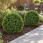 Large Artificial Topiary Ball Natural Buxus 44cm UV Resistant - Designer Vertical Gardens art artificial buxus balls