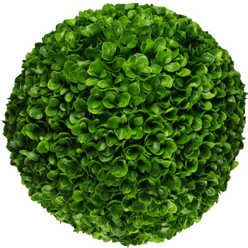 Artificial green spherical plant on a white background