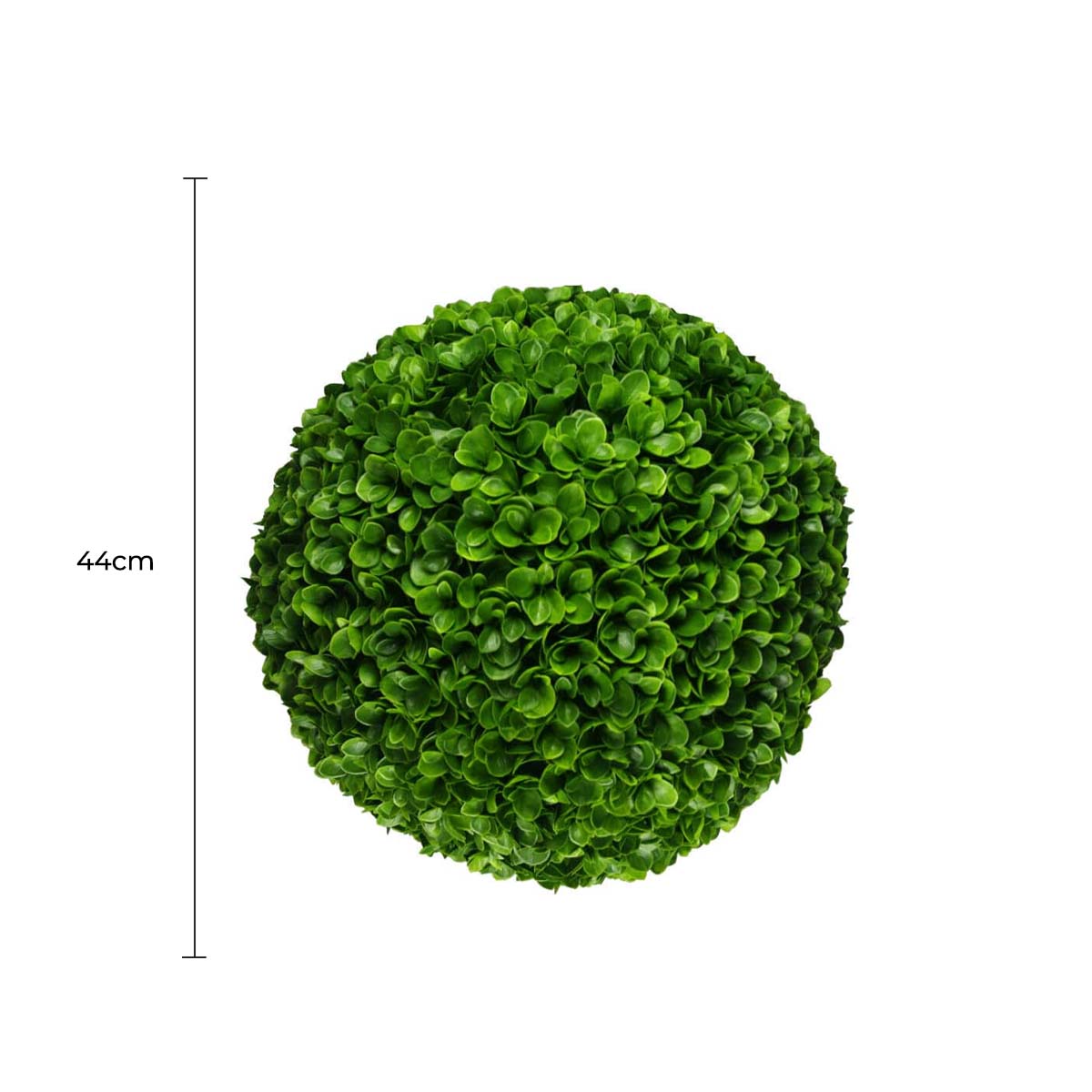 Green spherical topiary with a measurement label on a white background