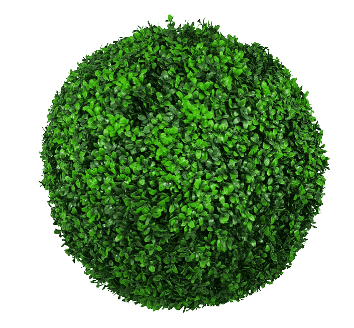 Artificial boxwood ball on a white background