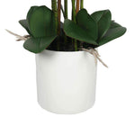 Large Multi-Stem White Potted Faux Orchid 65cm - Designer Vertical Gardens Flowering plants orchid