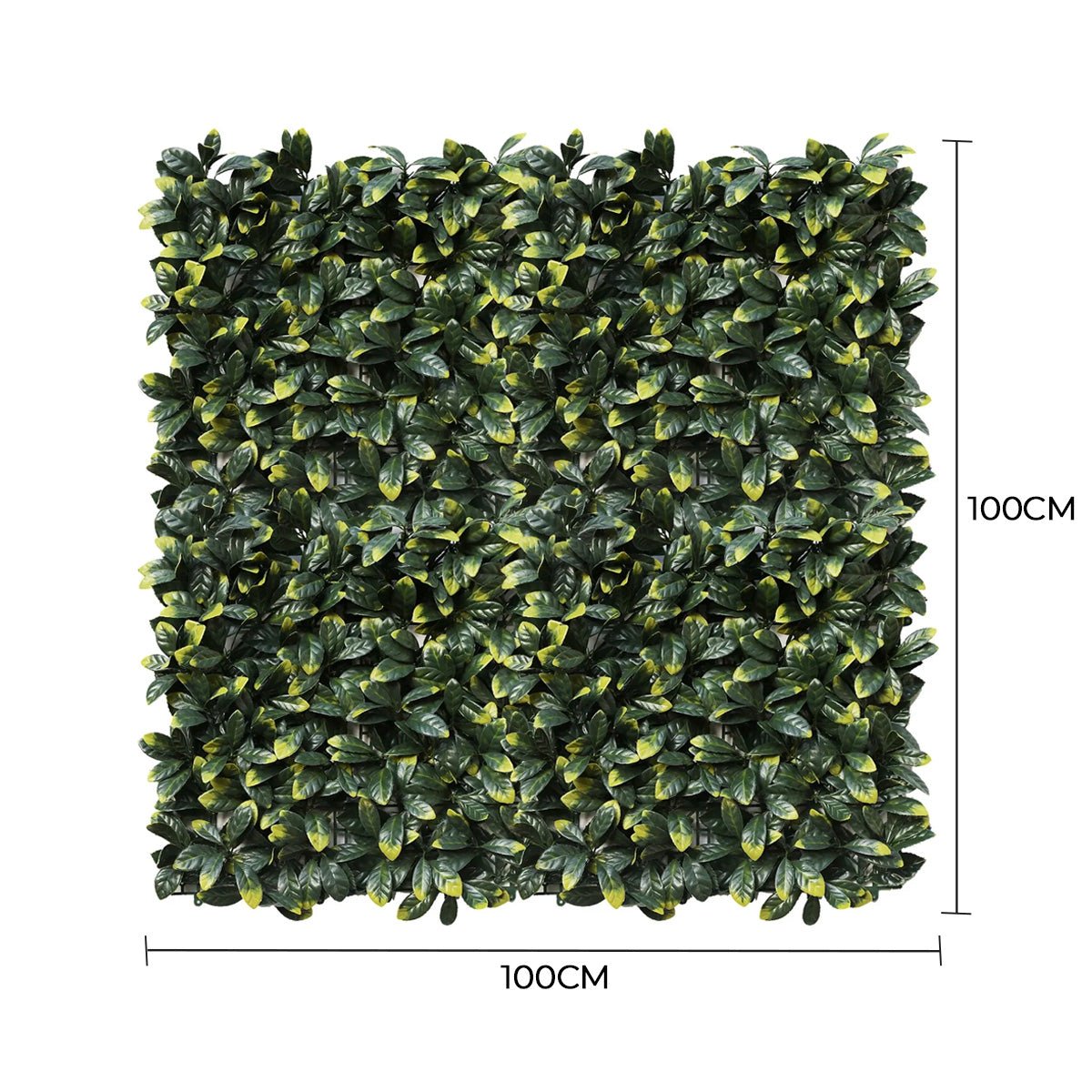 Square artificial green wall panel with dimensions on a white background