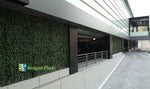 Modern building exterior with green wall and 'Designer Plants' logo